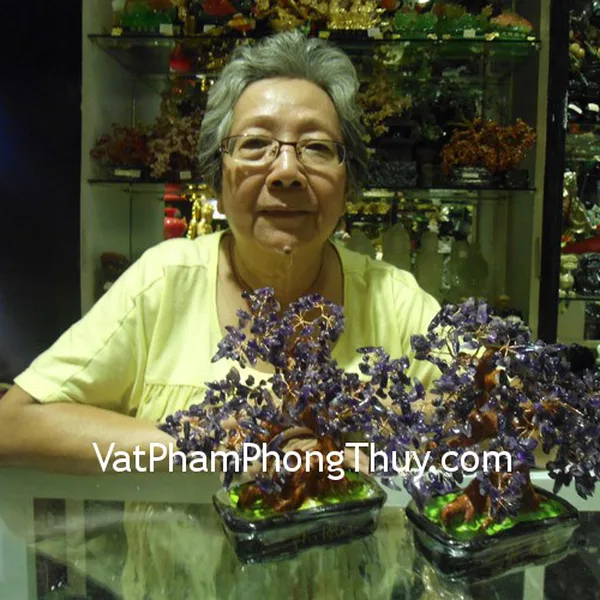 Cô Khanh - khách hàng mua cây tài lộc thạch anh tím HCA261
