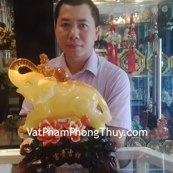 Anh Thịnh -Khách hàng mua Voi ngọc vàng trên núi mẫu đơn C116A