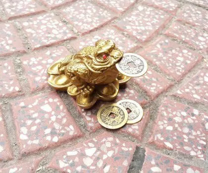 Thiềm thừ đồng nhỏ D212
