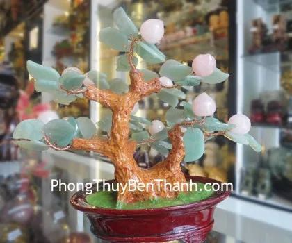 Cây đào tiên lá Đông Linh,quả thạch anh hồng CA115