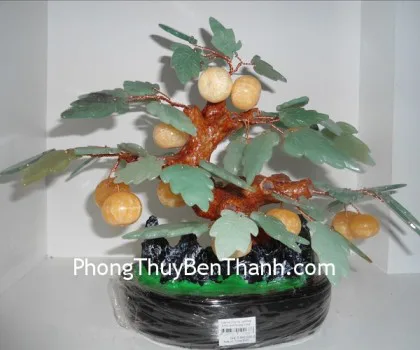 Cây tắc (Quất) đá hoàng long + ngọc xanh đông linh R068