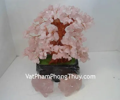 Cây đá thạch anh hồng, chậu vuông vừa CA209