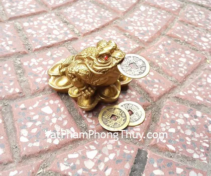 Thiềm thừ đá hồng tự nhiên C-DH