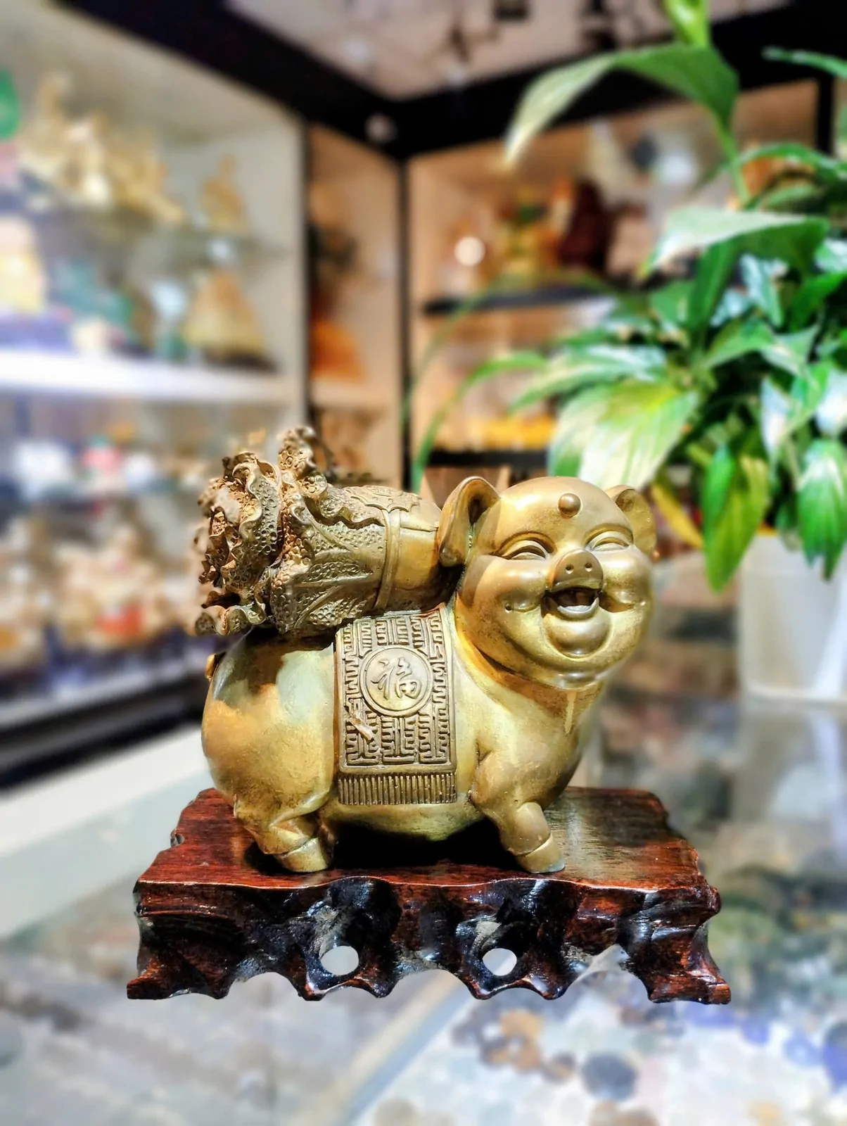 Vua heo đồng khủng cõng bắp cải khủng D296