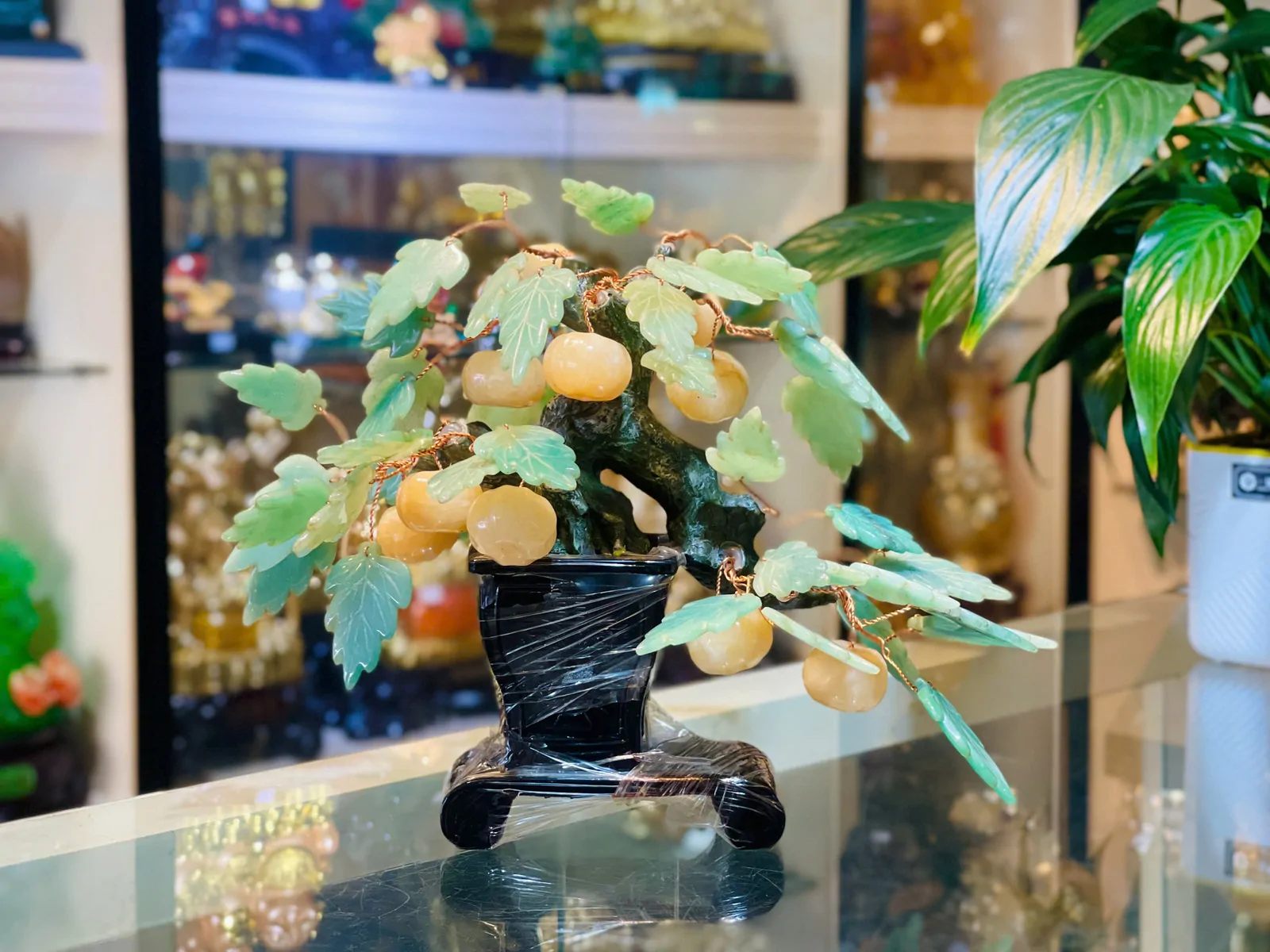 Cây quất chậu cao chữ nhật KC010