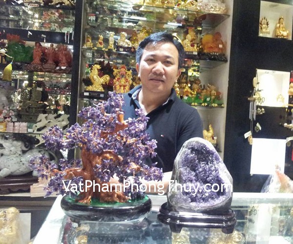Anh Trí - Khách hàng mua cây tài lộc thạch anh tím KC032, bông thạch anh tím lớn H097-S3-16065, xâu 6 đế vương CC1135